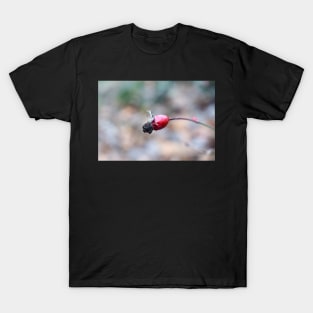 Wild Rose Fruit T-Shirt